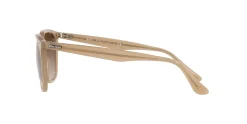 Gafas de sol Ray Ban 0RB4362