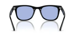 Gafas de sol Ray Ban 0RB4420
