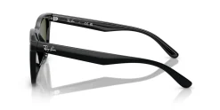 Gafas de sol Ray Ban 0RB4420