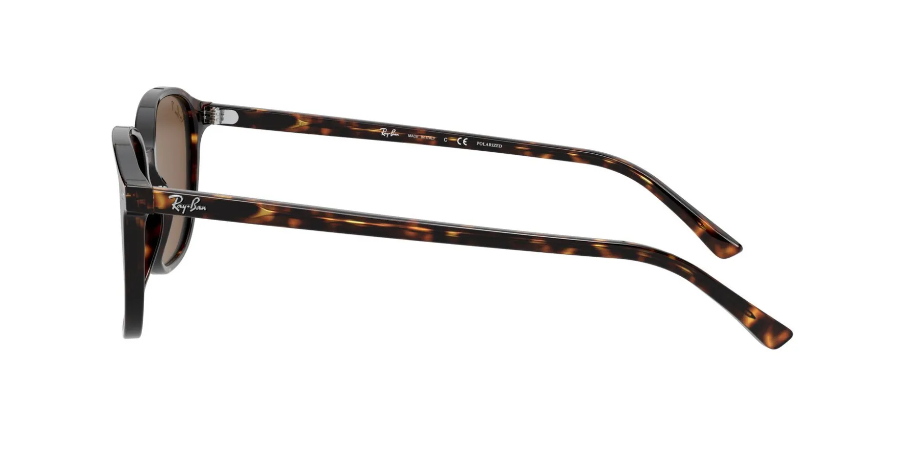 Gafas de sol Ray Ban 0RB2193