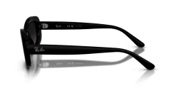 Gafas de sol Ray Ban 0RB2221