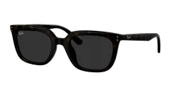 Gafas de sol Ray Ban 0RB4439D