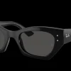 Gafas de sol Ray Ban TERU 0RB4425