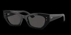Gafas de sol Ray Ban TERU 0RB4425