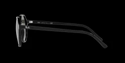 Gafas de sol Ray Ban THALIA 0RB2195