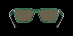 Gafas de sol Ray Ban WARREN 0RB4396