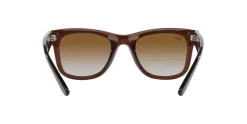 Gafas de sol Ray Ban WAYFARER REVERSE 0RBR0502S