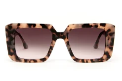 Gafas de sol Scalpers SOHO SOHO