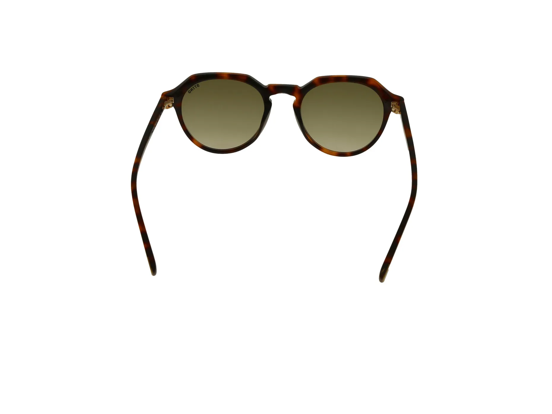 Gafas de sol Sting SST364